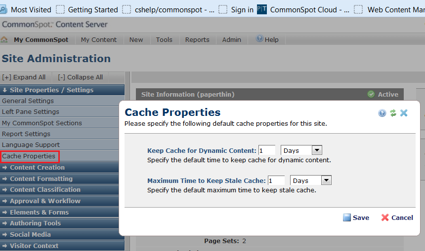 Stale Cache Settings - Site