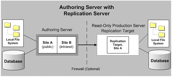 Replication Model