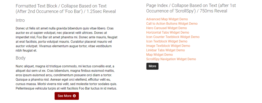 ReadMore Widget Demo 2